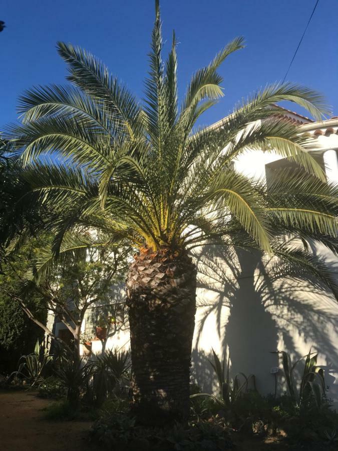 Rez De Villa Pebrier Fréjus Eksteriør bilde